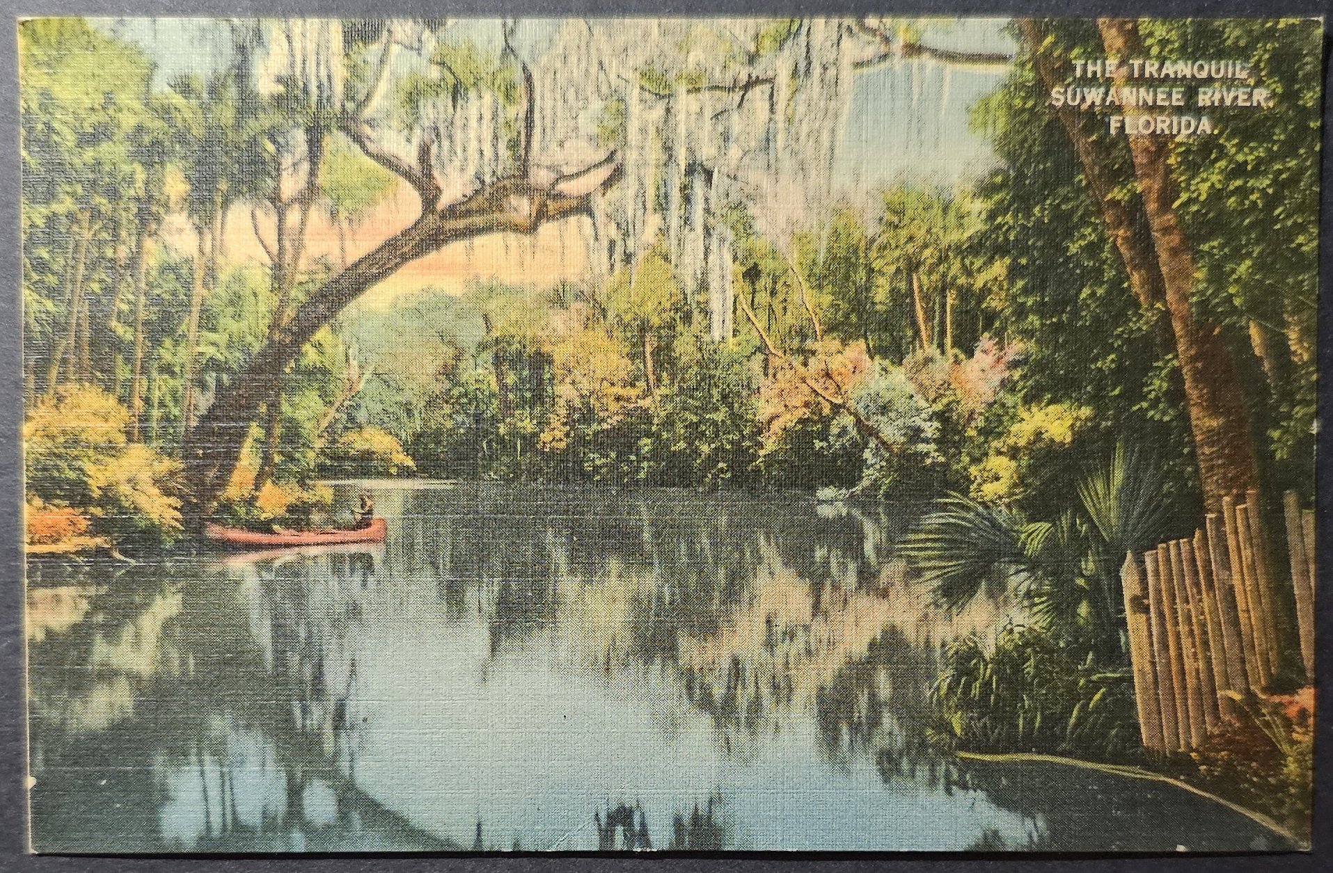 (image for) postcard USA - FL - Florida #0045